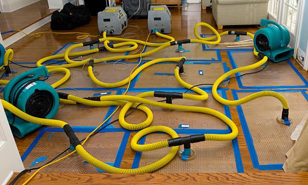Professional Storm Water Damage Restoration technician working in Walhalla, MI